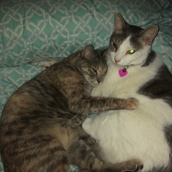 Meet your Posher, Suzie - Picture 16 of 16